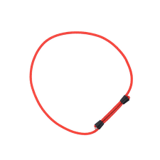 DiveRite Necklace Regulator Tech