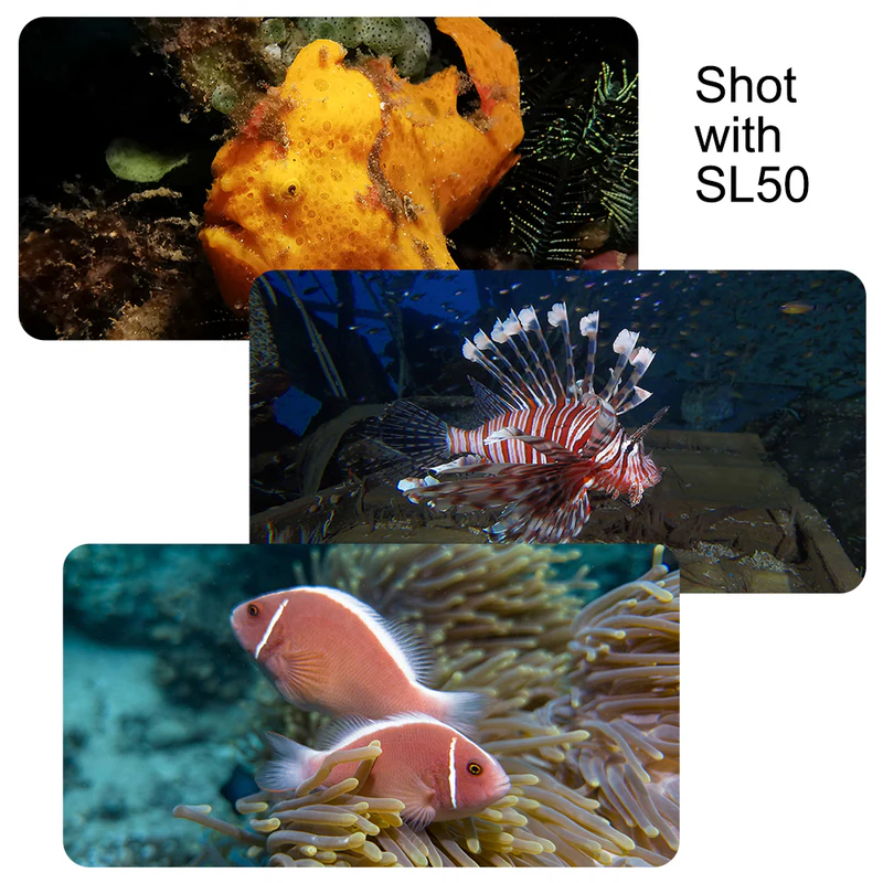 DiveVolk SL50 Video Light