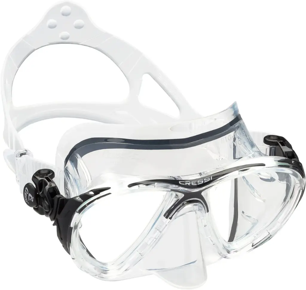 Cressi Big Eyes Evolution Mask SIL