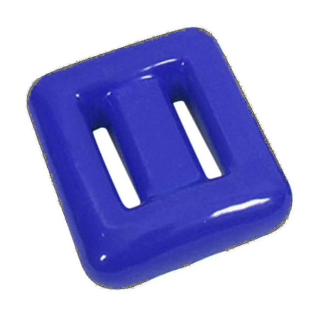 Dive Garage Weights Lead
