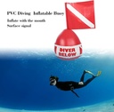 Dive Garage Divers Vinyl Surface Float