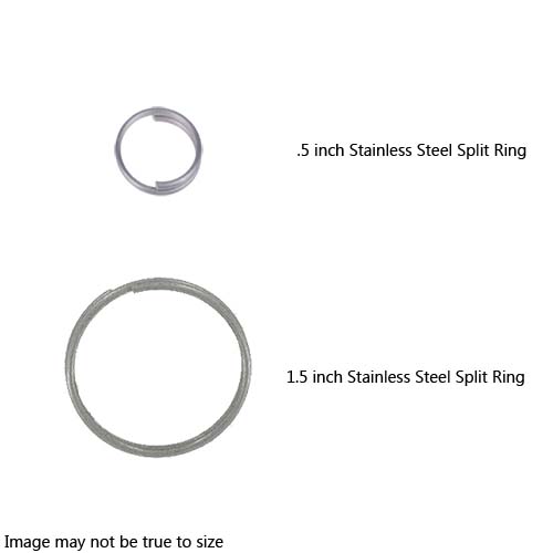 DiveRite Ring Round S/S