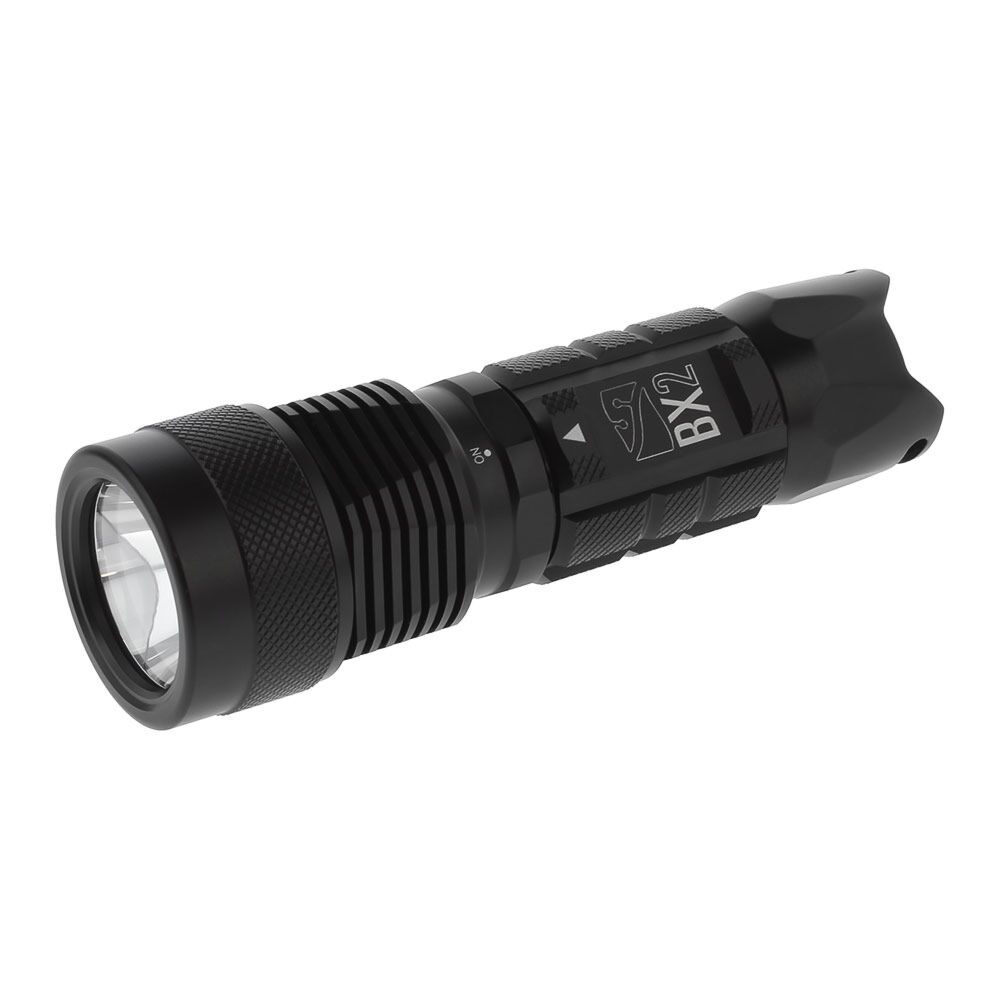 DiveRite BX2 Handheld Light