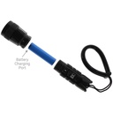 DiveRite BX2 Handheld Light
