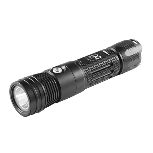DiveRite CX2 Handheld Light 